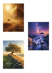 Комплект 3 шт загальних зошитів. Зошит Школярик А4 80 арк. у лінію 5249 4823088248531