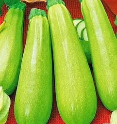 Насіння Весна на вагу Кабачок Отаман ціна за 8 г (177666)