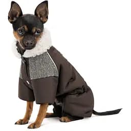 Костюм для собак Pet Fashion Locky М коричневий - мініатюра 2