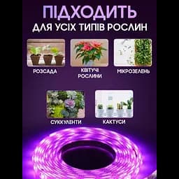Світлодіодна фітолента для кімнатних рослин фітолампа 12V повний спектр 5 метрів від мережі SMD 2835 - мініатюра 4