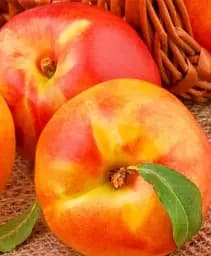 Саджанець Agro-Market Нектарин Бурштиновий (лисий персик) 1 шт. в упаковці (40029)