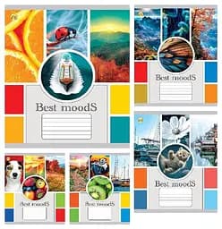 Тетради ученические 18 листов клетка 20 штук в упаковке ТЕ41208