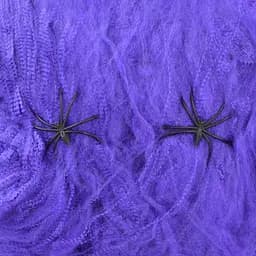 Павутина Yes! Fun Halloween з двома павучками, 20 г, фіолетова (973674)