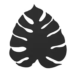 Настінний світильник (бра) MONSTERA ЧОРНИЙ G_9 TK Lighting 4666