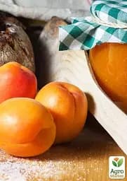 Саджанець Agro-Market Абрикос колоновидний помаранчевий із засмагою на сонячному боці Радості життя (Joy of life) (преміальний пізньостиглий сорт) 1 шт. в упаковці (45792) - мініатюра 3