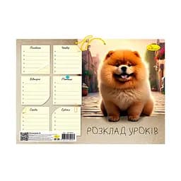 Ламінований розклад уроків АП-0801 формат А4 Вид 3