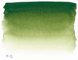 Акварельна фарба Sennelier, полукювета, S1, Соковитий зелений (Sap Green) - мініатюра 2