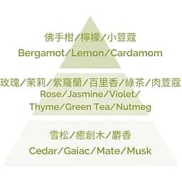 Ароматична свічка Plantes & Parfums Green Tea 180 г - мініатюра 2