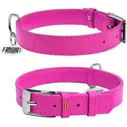 Нашийник для собак Waudog Glamour шкіряний з QR паспортом, без прикрас, M, Ш 25 мм, Дов 38-49 см (4820152560940)