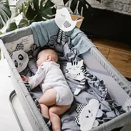 Іграшка-обіймашка BabyOno Панда з шурхотінням для малюків 20.5х15.5 см (2136278052) - мініатюра 5