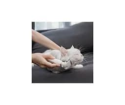Пуходірка-слікер Xiaomi Pawbby Slicker (MG-PCO001) [67365] - мініатюра 6