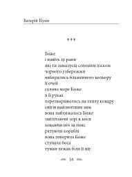 До Чорного моря - Валерій Пузік - мініатюра 24