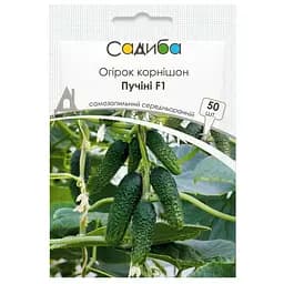 Семена огурцов Садиба Пучини F1, 50 шт. 