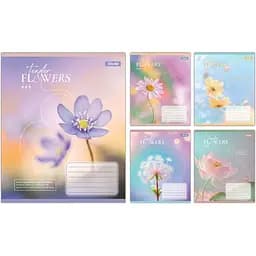 Упаковка зашитів 1В Tender Flowers учнівський загальний 10 шт./60 лін. (768083)