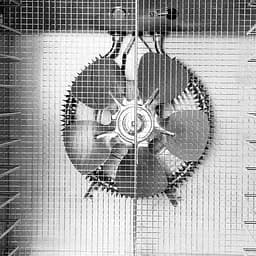 Дегідратор сушарка Food Dehydrator SS - 10H для овочів фруктів м'яса грибів 10 лотків 800Вт - мініатюра 8