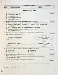 Українська мова. 6 клас. Контроль результатів навчання - мініатюра 4