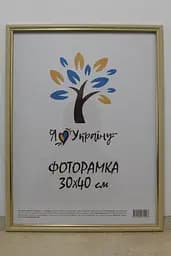 Фоторамка 30х40, бежева із золотою вставкою, 1515-7104, СКЛО + КАРТОН                                                                                                                            
