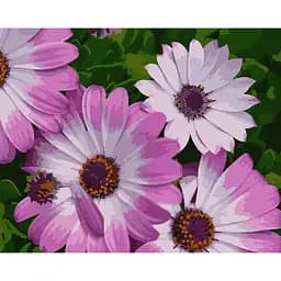 Картина за номерами ArtCraft Африканські ромашки 40x50 см (13113-AC)