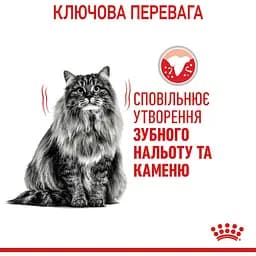 Сухий корм для котів Royal Canin Dental Care, для профілактики утворення зубного нальоту, 1,5 кг (2532015) - мініатюра 6
