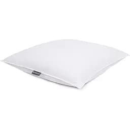 Подушка Penelope Gold Soft пуховая, 70х70 см, белый (svt-2000022274326)