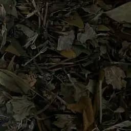 Збір трав'яний кровоочисний для чищення судин, 100 г, (Своє виробництво)