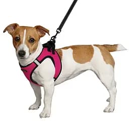 Шлея для собак Bronzedog Sport Vest XXS 15х13х3 см рожева - мініатюра 2