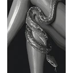 Картина за номерами на підрамнику Brushme Природа спокуси