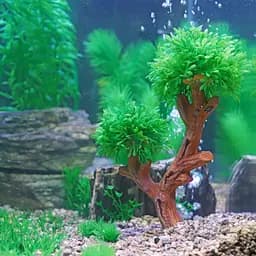 Декорація дерево Hobby Aqua Tree 3 15x6x26 см (41548) - мініатюра 4