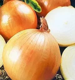 Насіння Весна Цибуля Гранд Еталон Зіпер 3 г (177316)