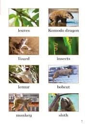 Big and Small. Ladybird Readers. Level 2 - мініатюра 3