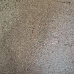 100 г бадяга порошок - свежий урожай