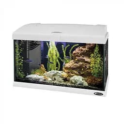 Аквариум Ferplast CAPRI 50 WHITE - 40 L 52 x 27 x h 36 cm