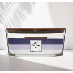 Свічка Woodwick Ellipse Trilogy Evening Luxe Вечірній люкс 453 г (1743624E) - мініатюра 2