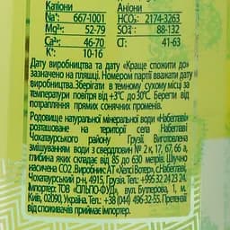 Вода мінеральна Набеглаві лікувально-столова сильногазована 0.5 л (332537) - мініатюра 3