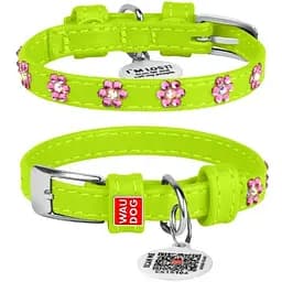 Нашийник для собак Waudog Glamour шкіряний з QR паспортом, з клейовими стразами Квіточка, XS, Ш 9 мм, Дов 19-25 см (4820082498801)