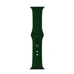 Ремінець Apple Watch Silicone 42/44/45/46/49 мм Зелений L - мініатюра 2