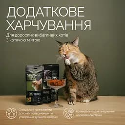 Ласощі хрумкі Savory Cats Snacks Crunchy Balls Для дорослих вибагливих котів кульки з котячою м'ятою 60 г - мініатюра 3