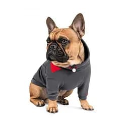 Худі Pet Fashion Snoodie для собак, розмір M, сірий - мініатюра 3