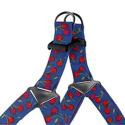 Шлея для собак BronzeDog Urban Fruits Вишні M 45-56 см - мініатюра 2