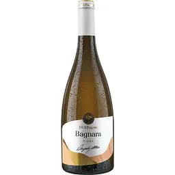 Вино Due Palme Bagnara Fiano Salento IGP сухое белое 12% 0.75 л