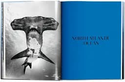 Michael Muller. Sharks - мініатюра 5
