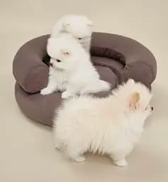 Лежак ортопедичний для собак "Marshmallow" коричневий М (90*75) - мініатюра 6