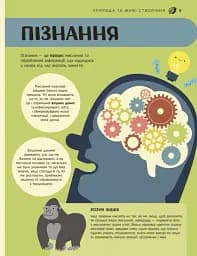 Енциклопедія STEM для дітей: 100 понять майбутнього генія - мініатюра 10