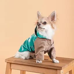 Дощовик Pet Fashion Semmy для собак розмір S - мініатюра 6