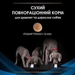 Сухий дієтичний корм для цуценят та дорослих собак Purina Pro Plan Veterinary Diets DRM Dermatosis для підтримання функції шкіри при дерматозах та надмірному випадінні шерсті 3 кг - мініатюра 9