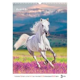 Календар настінний Axent А3 Horses 2026 рік (8804-26-3-A) - мініатюра 4