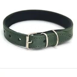 Ошейник для собак Zoo-hunt кожаный с неопреном О деликат зеленый 2,5/36-46 см