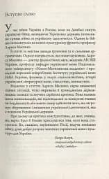 Конфлікт мов та ідентичностей у пострадянській Україні - мініатюра 4