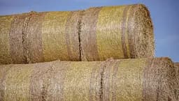 Сільськогосподарська сітка для тюків Bradas BALER NET PLUS 1.25x3000 м (AK-BNP125X3000)  - мініатюра 3