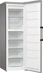 Морозильна камера Gorenje FN619EAXL6 - мініатюра 2